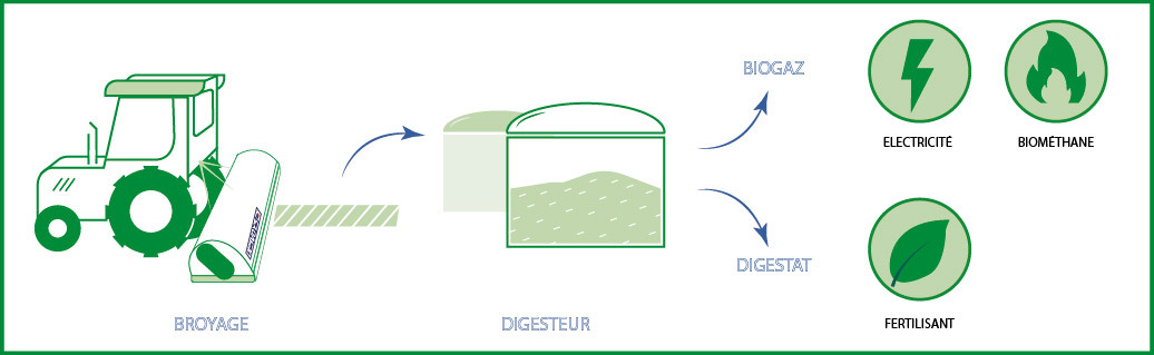 Schéma Méthanisation_Plan de travail 1