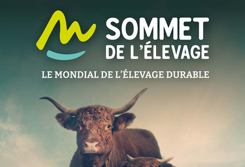 Sommet de l'elevage